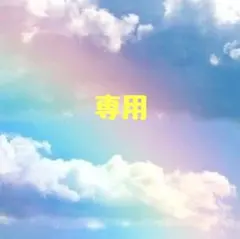 まる〜土日発送お休みいたします〜様 リクエスト 2点 まとめ商品