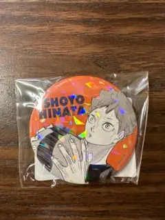 １０　日向翔陽　－Ｖ．ＨＥＲＯＥＳ－ JCS限定 オールスター缶バッジ