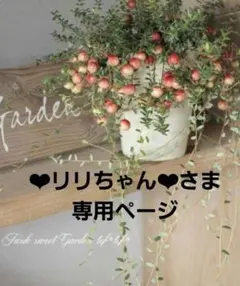 ❤︎リリちゃん❤︎様専用ページです*✲゜