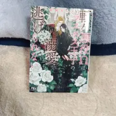 タマポチ様専用 2冊セット 転生悪役Ωはラスボス王子の溺愛 傾国の美男を助けたら