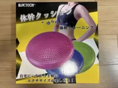 WETECH バランスクッション グリーン