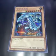 遊戯王 青眼の白龍 ノーパラ ノーマルパラレルレア SDKS 即購入OK