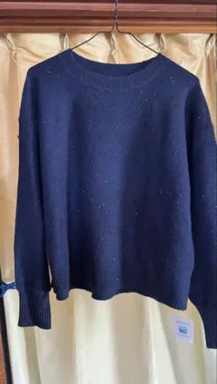 【限定値下げ】STRAWBERRY-FIELDS 青 ニット スパンコール