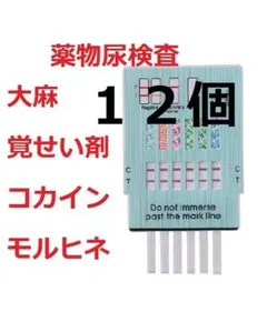 Item thumbnail for item 7d020e6a-56a1-4246-ad86-fd06ea367124