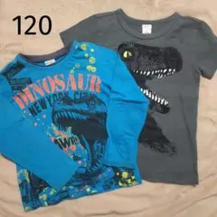 キッズ 長袖 半袖 2枚セット Tシャツ 恐竜 120cm
