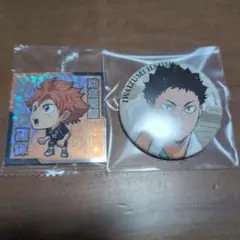 ハイキューウエハースシール 日向翔陽　岩泉一　缶バッチ2点セット