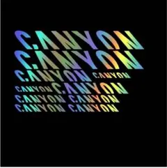 Canyon ステッカー 虹色 他の色もあり‼️のサムネイル