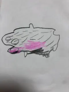 手描き海洋生物イラスト