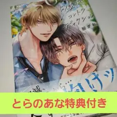 噓恋コントラディクション　とらのあな特典付き