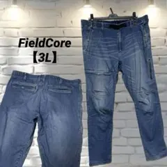 FieldCore フィールドコア CS003 ストレッチ カーゴパンツ【3L】のサムネイル