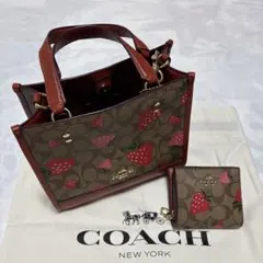 COACH Rogue 25 Japan Limited Apple Print - メルカリ