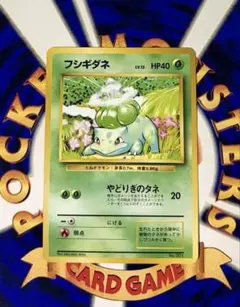 目立った傷無し】 フシギダネLV.13 マーク無し 旧裏 - メルカリ