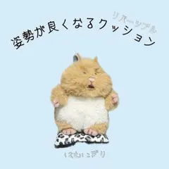 はむにぎり 姿勢が良くなるリバーシブルクッション♪ 007
