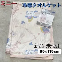 ミニー　ディズニー　冷感タオルケット　タオルケット　85×115cm バースデイ