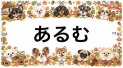 専用