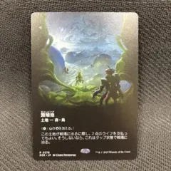 MTG繁殖池/Breeding Pool ボーダーレス 日本語1枚EOE - メルカリ