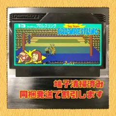 タッグチームプロレスリング