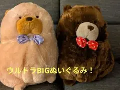 2026年最新】チャウねん bigの人気アイテム - メルカリ