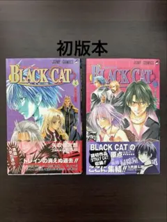 Black Cat(ブラック・キャット) 全9巻セット コンビニ版 初版！ - メルカリ