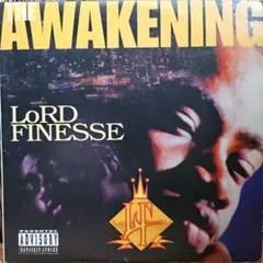 2026年最新】LORD FINESSE レコードの人気アイテム - メルカリ