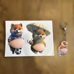 柴犬 おなかシール ぷにぷにシール キーホルダーセット