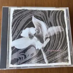 Item thumbnail for item 7bf20e1a-d622-4bbb-99e5-42506e465e0c