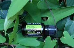 ２８日（日）１４時半迄 Mie様 リクエスト 2点 まとめ商品