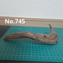 新品未使用　天然ミニ流木　No.745　 アクアリウム　爬虫類　両生類のサムネイル