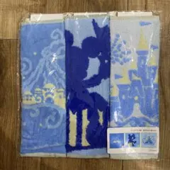 Disney Vacation Packages ミニタオル 3枚セットのサムネイル