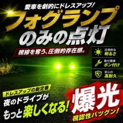 LED H8 H11 H16 グリーンレモン ワンオフ 輝神 明るい - メルカリ