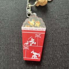 ディズニーリゾート　ポップコーン　キーチェーン