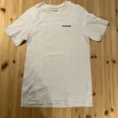 patagonia Tシャツ