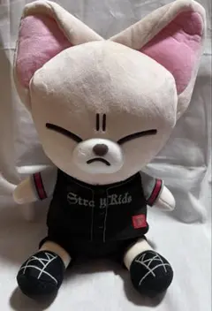 straykids アイエン フォクシニー スタジアム 事後通販