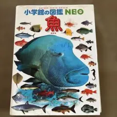 魚