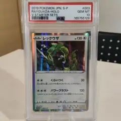 PSA10 アクア団のノクタス holo - メルカリ