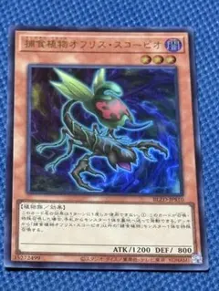 2026年最新】捕食植物の人気アイテム - メルカリ