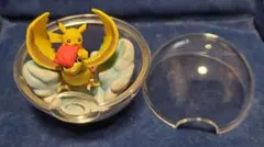 ピジョン　ピカチュウ　ポケットモンスター　テラリウム　コレクション