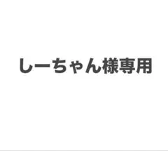 しーちゃん様専用