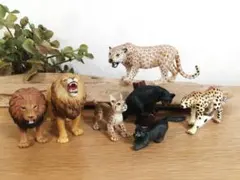 猫科の動物 猛獣 7点セット