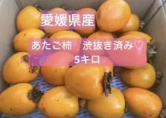 愛宕柿　渋抜き処理済み　5kg