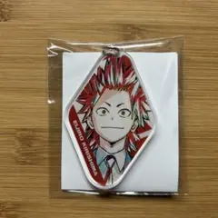 ヒロアカ　切島鋭児郎　Ani-Art アクリルキーホルダー