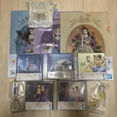 一番くじ　ディズニープリンセスセット　被りなし　スープボウル追加可