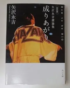 矢沢永吉 文学・小説