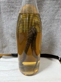 マムシ酒、マムシ焼酎 - メルカリ