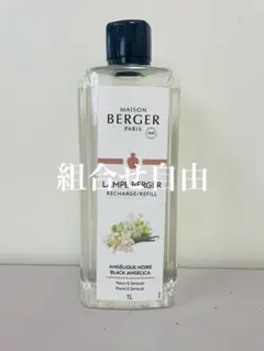 2026年最新】ランプベルジェ ランプの人気アイテム - メルカリ