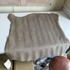 Item thumbnail for item 4185e49f-0a65-442b-86bd-8f2fec8ad874