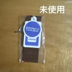 SEVENTEEN セブチ CARAT LAND 2024 ケレン デジコ