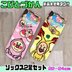 こびとづかん　ソックス　靴下2足セット　新品　カクレモモジリ ホトケアカバネ