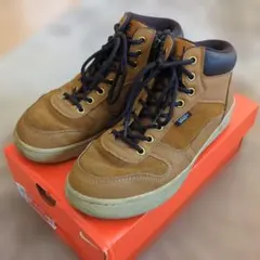 Item thumbnail for item fb0d26c3-5ebb-4451-9ef0-be1aabaf26f0