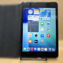 iPad mini 第5世 Wi-Fi + Cellular 256GB スぺー